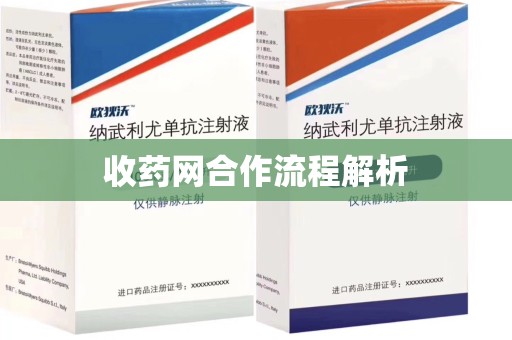 揭阳收药网合作流程解析