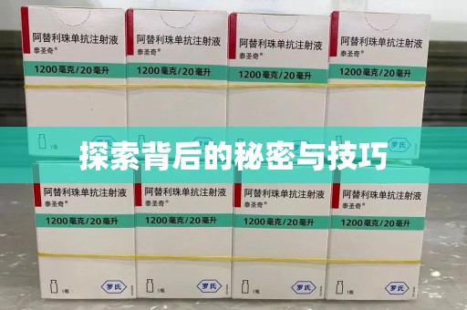 揭阳探索背后的秘密与技巧