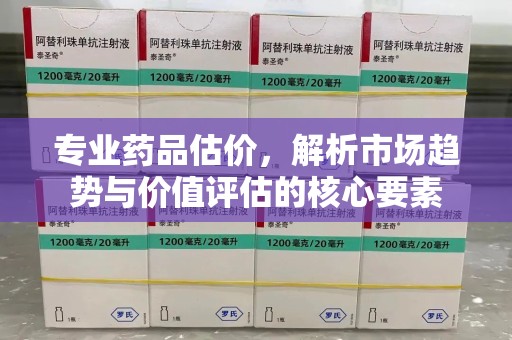揭阳专业药品估价，解析市场趋势与价值评估的核心要素
