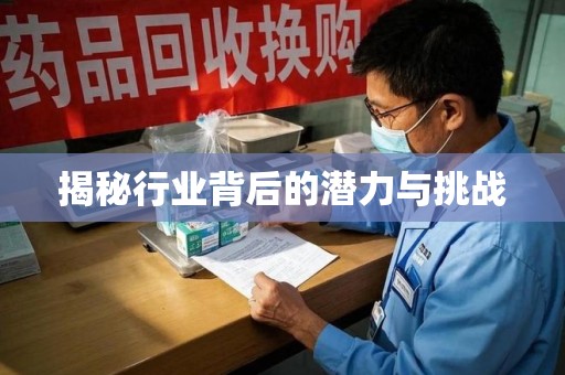 揭阳揭秘行业背后的潜力与挑战