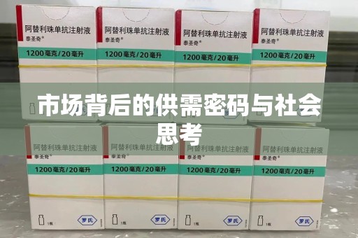 揭阳市场背后的供需密码与社会思考