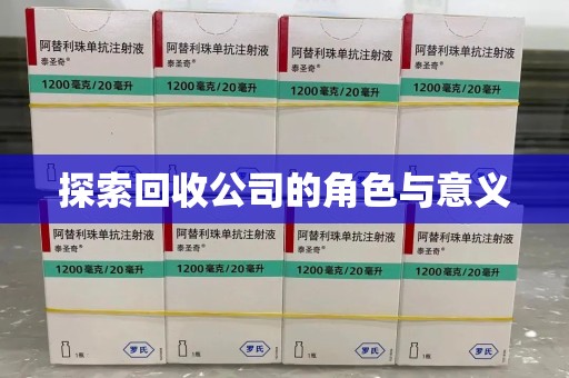 揭阳探索回收公司的角色与意义