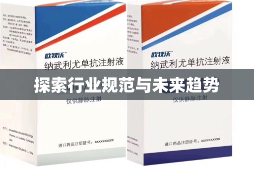 揭阳探索行业规范与未来趋势