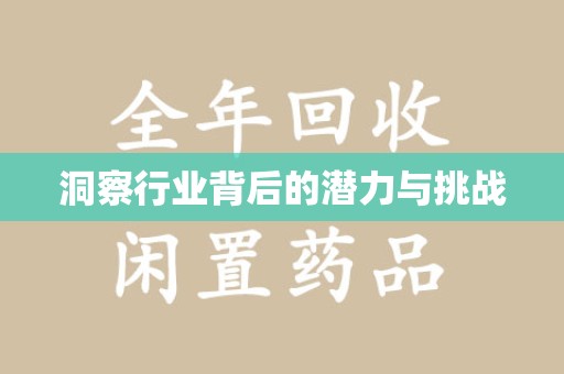 揭阳洞察行业背后的潜力与挑战