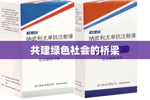 揭阳共建绿色社会的桥梁
