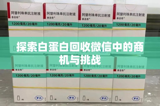揭阳探索白蛋白回收微信中的商机与挑战